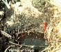 o_Wetland soils in field guide 3 USDA page11b